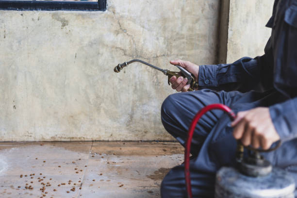 Best Best Pest Control Companies  in Grinnell, IA